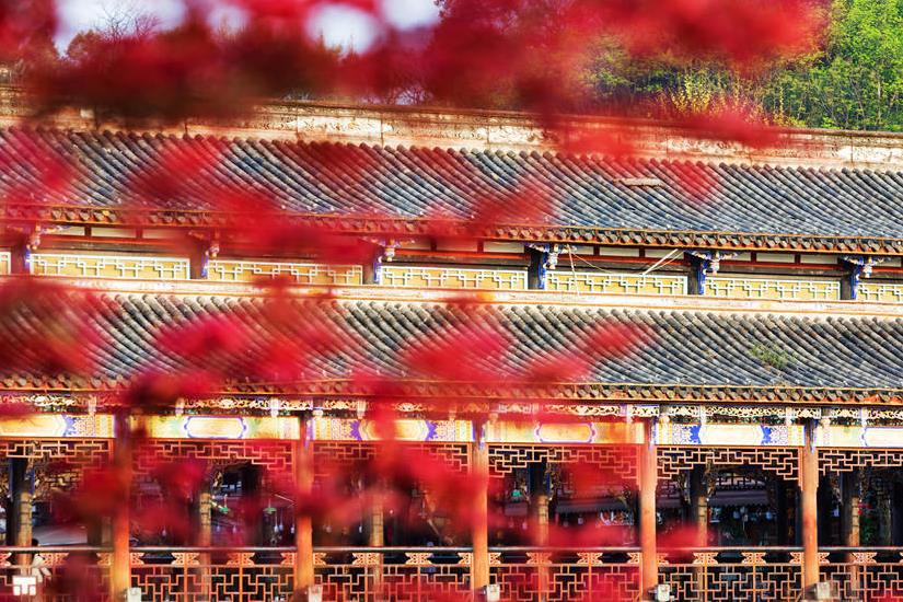 “水上畫樓”花滿枝