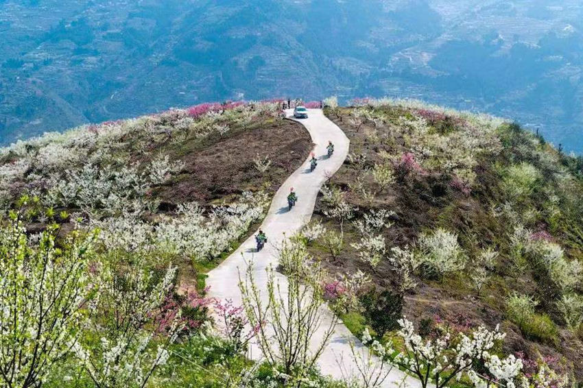 致富之路。赤水鎮(zhèn)供圖