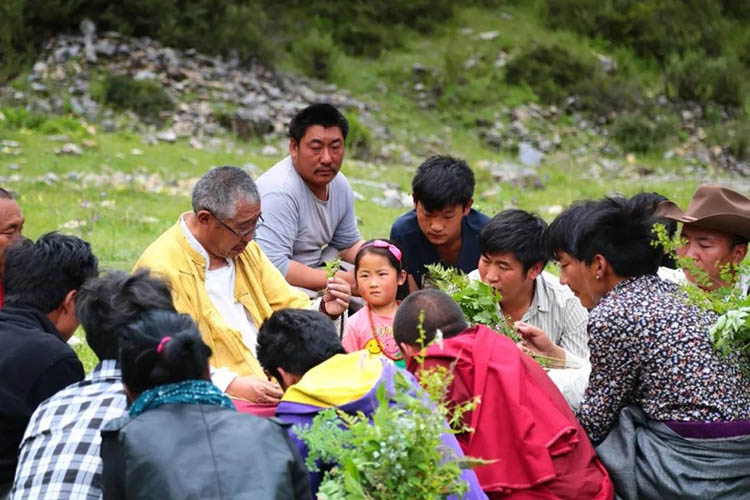 知名老藏醫(yī)洛熱彭措指導村民辨識藥材。甘孜日報社供圖