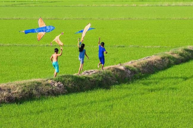 天府糧倉(cāng)沃野良田。新津區(qū)委宣傳部供圖