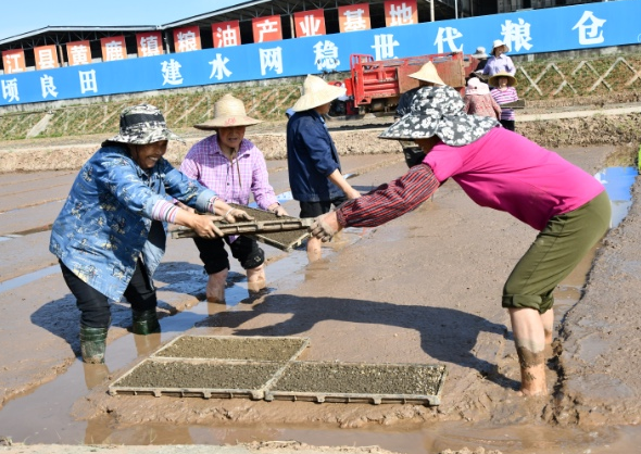 四川省舉行2022年春灌放水啟動活動4月25日，2022年四川省春灌放水啟動活動在德陽舉行。