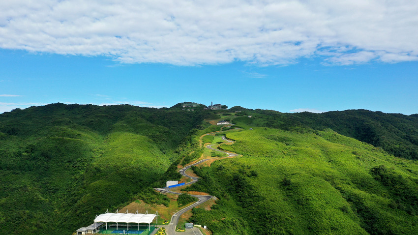 浩瀚的羅漢竹海。代建供圖