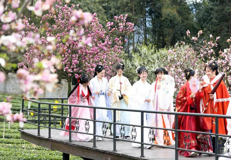 桃花開放，游人若織。高縣縣委宣傳部供圖