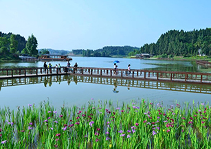 南部縣純陽山村：依托八爾湖秀美風(fēng)光，農(nóng)耕文化及濕地生態(tài)資源，實(shí)施旅游扶貧開發(fā)，建成濕地花海、荷塘月色、農(nóng)耕博物館等多處鄉(xiāng)村旅游特色景點(diǎn)。