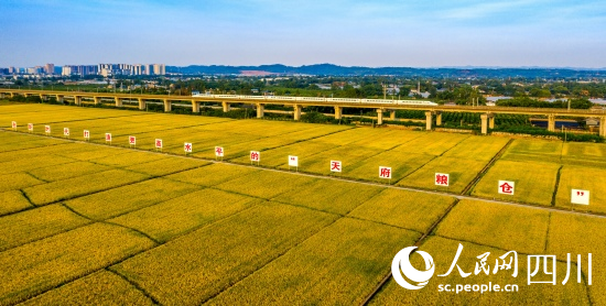 眉山市東坡區(qū)永豐村天府糧倉。侯建明攝