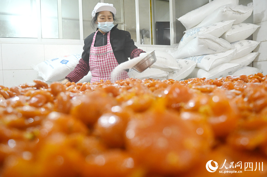 當(dāng)?shù)卮迕裾谶M(jìn)行橘餅蜜餞制作的重要步驟“喂糖”。黃正華攝