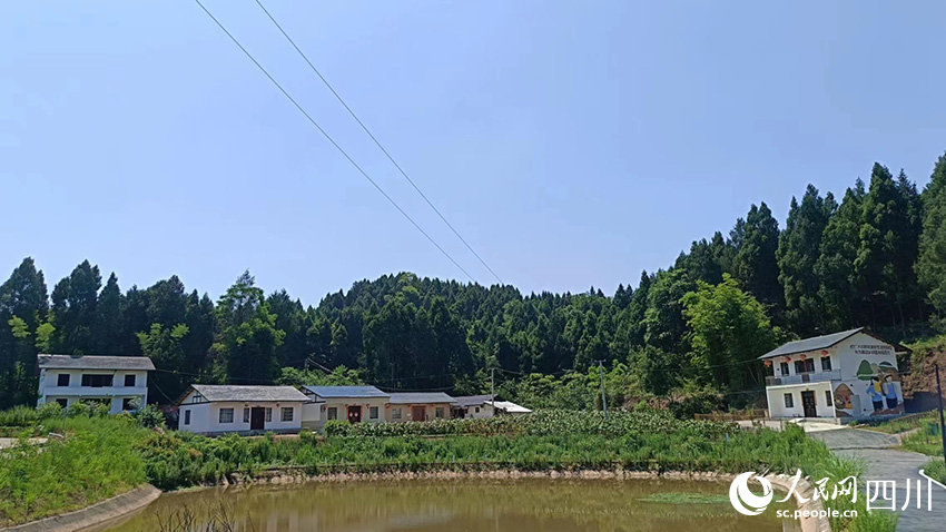 寶梵村村景。吳舒婷攝