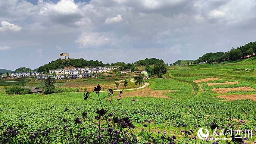 站在遠(yuǎn)處眺望海龍村，村美景美。實(shí)習(xí)生 吳舒婷攝