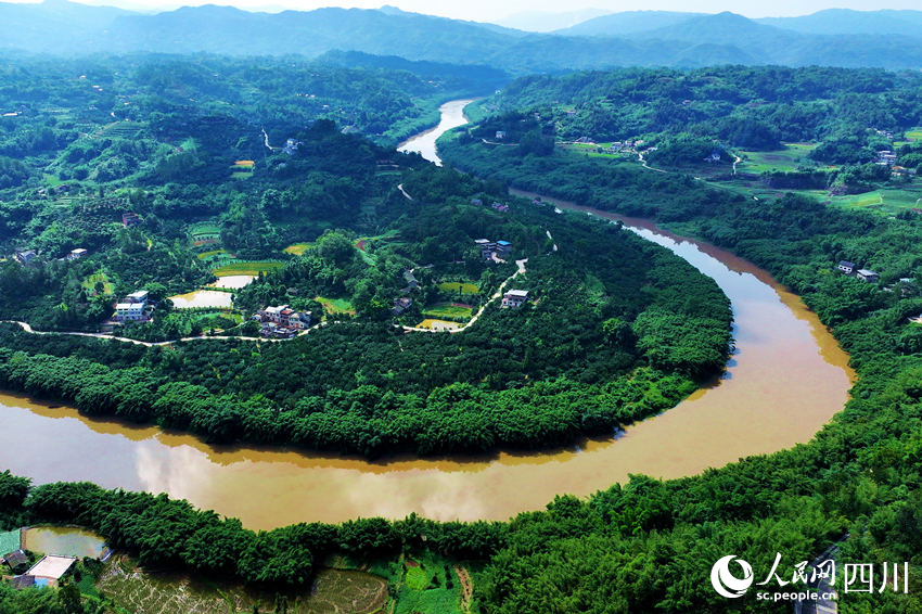 鳥瞰四川省瀘州市納溪區(qū)護國鎮(zhèn)沙田村柚子種植基地。廖勝春攝