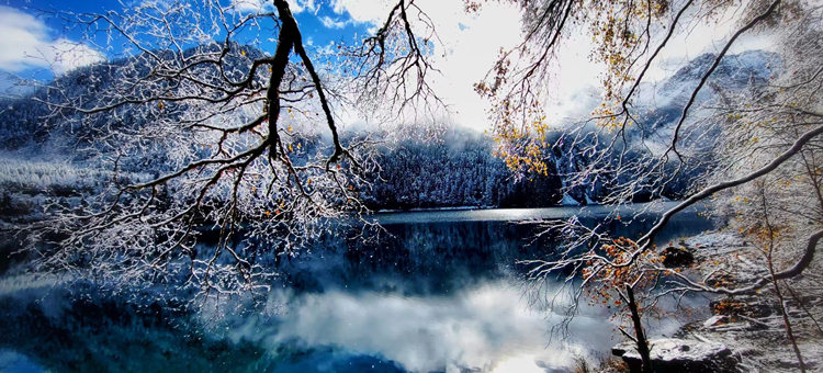 雪景中的彩林、海子。九管局供圖