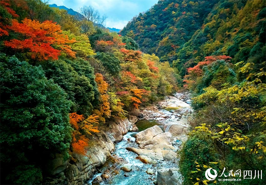 彩林溪流，相映生輝。胡宇攝