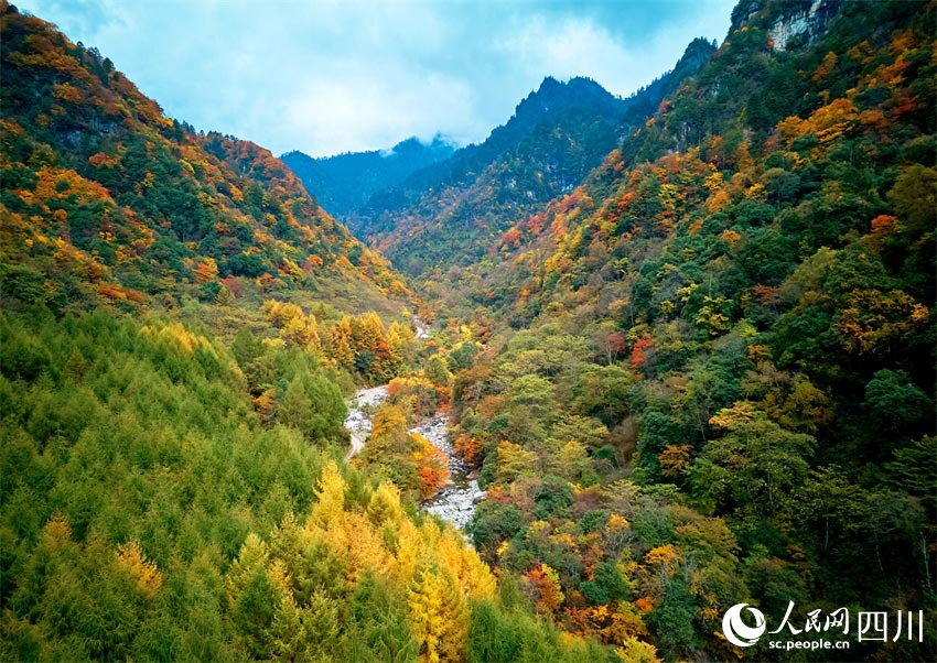 層林盡染，秋色斑斕。胡宇攝