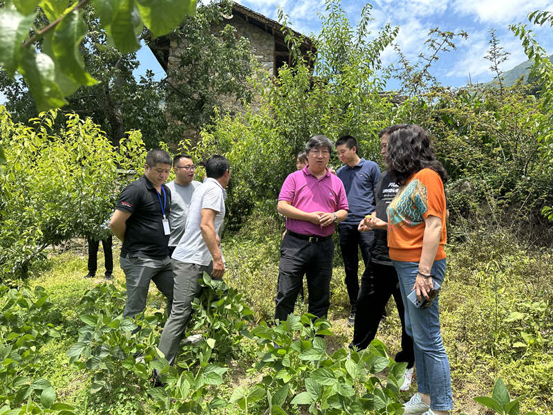 7月20日，都江堰市第七批對(duì)口支援工作隊(duì)領(lǐng)隊(duì)楊波在康定市麥崩鄉(xiāng)調(diào)研農(nóng)業(yè)產(chǎn)業(yè)項(xiàng)目。康定市融媒體中心供圖