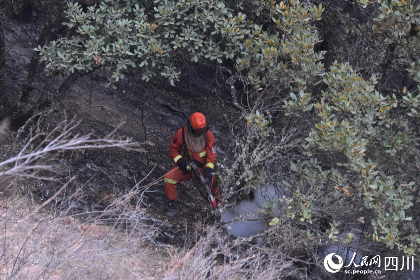 四川省森林消防總隊攀枝花市支隊森林消防員正在全力撲救山火。殷豪良攝