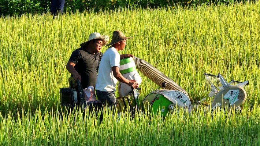 村民正在用農(nóng)機(jī)收割水稻。高縣融媒體中心供圖