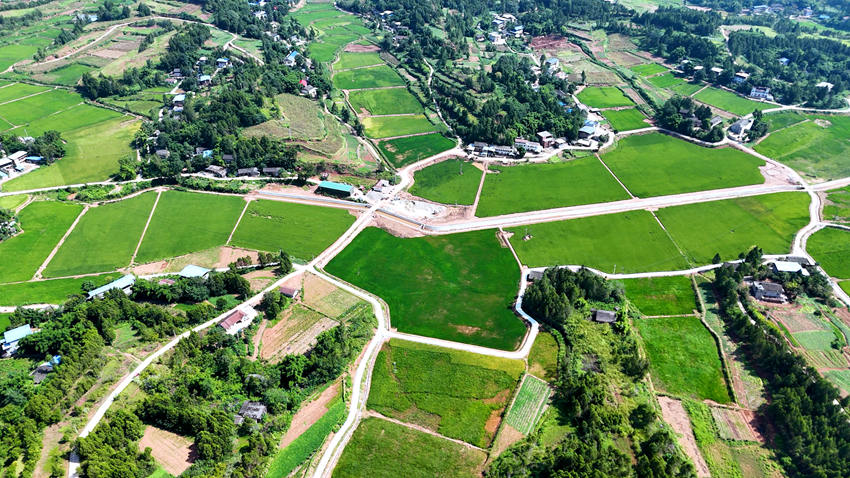 蓬安高標準農(nóng)田徐家基地。蓬安融媒體中心供圖