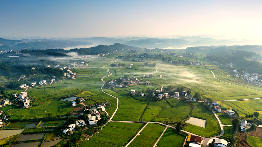 蓬安高標(biāo)準(zhǔn)農(nóng)田睦壩基地。蓬安融媒體中心供圖