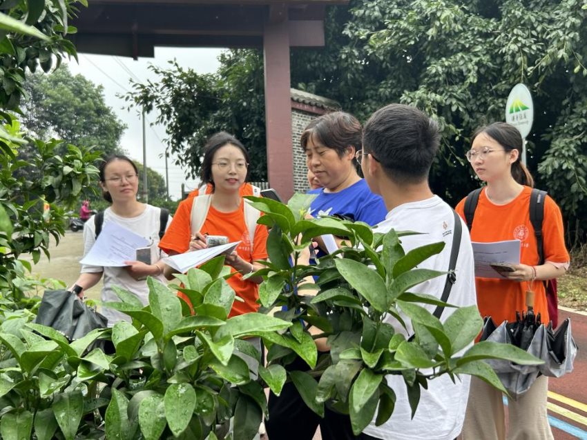 志愿團(tuán)隊收集蒲江病蟲害發(fā)生情況。共青團(tuán)成都市委供圖