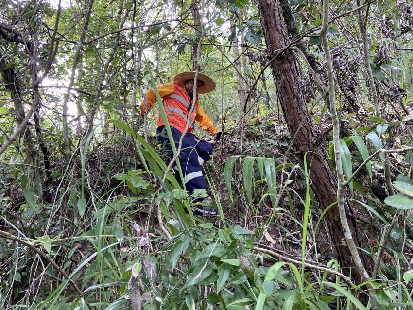 高溫下，達州工務段職工正在進行搜山掃危。崔建銀攝 