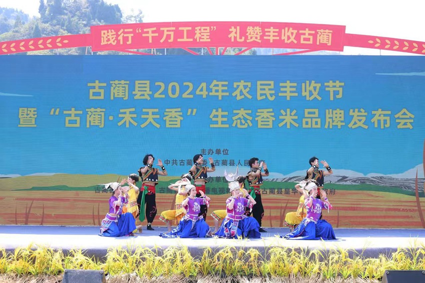 瀘州古藺縣2024年中國農(nóng)民豐收節(jié)在皇華鎮(zhèn)“天府糧倉”示范園區(qū)開幕。李驍供圖