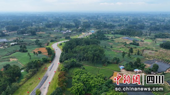 成都市蒲江縣。(唐啟浩 攝)